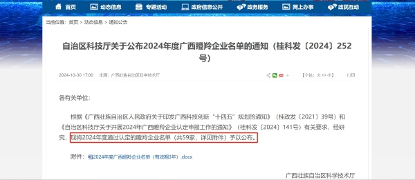 喜讯丨恭喜人民出行成功入选2024年广西瞪羚企业！