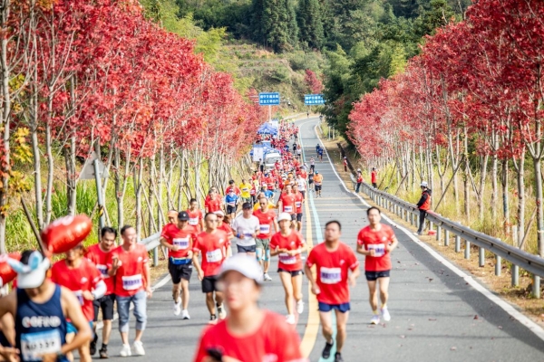  东江源头·翡翠安远 | 东江源·三百山2024安远马拉松赛鸣枪开跑！