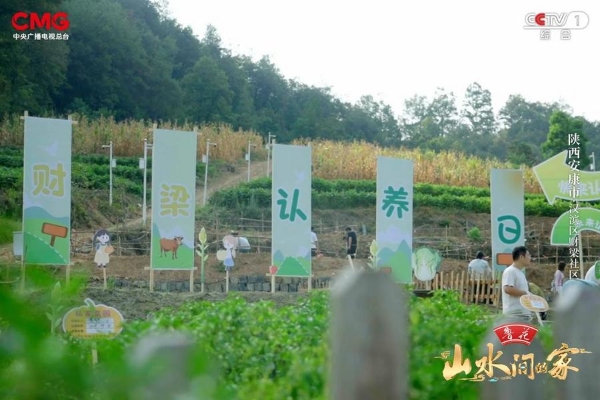 椒香山堡，智慧财梁，《山水间的家》邀您于峰峦灵秀处，赏乡村焕新颜！