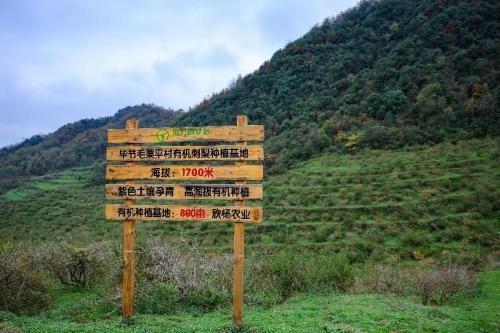 远方好物溯源贵州：打通田间到餐桌脉络，助力乡村振兴与助农腾飞