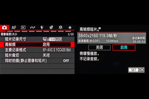 佳能EOS R5 Mark II拍鸟试用体验及使用指南