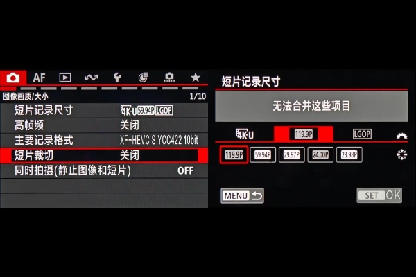 佳能EOS R5 Mark II拍鸟试用体验及使用指南