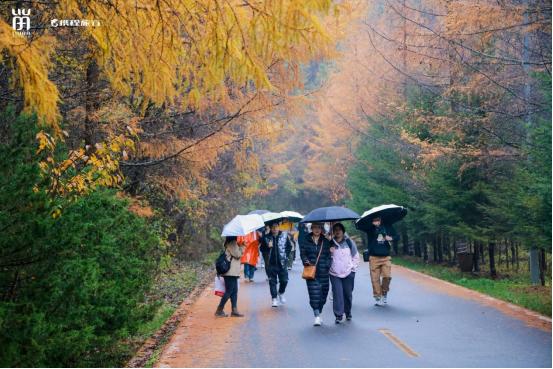  相聚秦岭秘境，携程旅行留坝金秋旅游产品首发踩线团打卡红叶盛宴