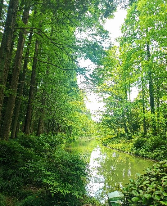 “生”生不息｜第三届爱普生保护生物多样性青年行动亮点抢先看