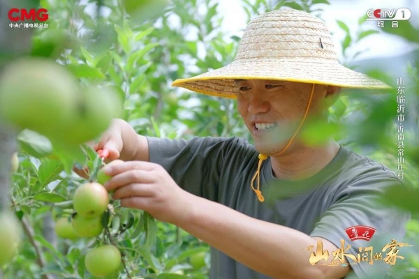  《山水间的家》：围屋承古韵，老区展新颜！ 