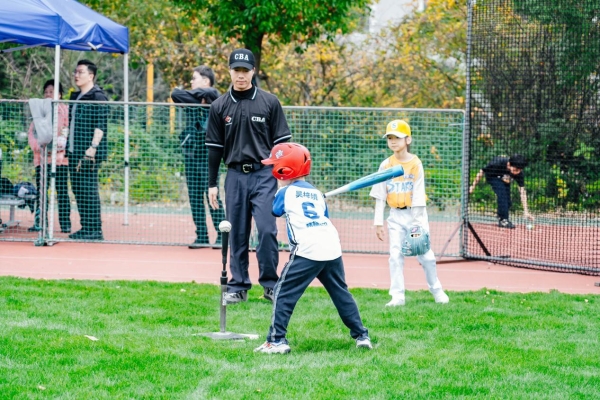  MLB CUP 青少年棒球系列赛·秋季赛青岛、扬州、深圳三城同步圆满收官！ 