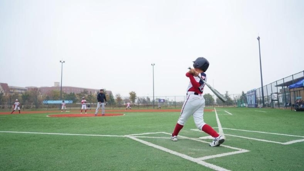  MLB CUP 青少年棒球系列赛·秋季赛青岛、扬州、深圳三城同步圆满收官！ 