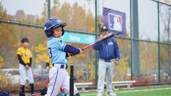  MLB CUP 青少年棒球系列赛·秋季赛青岛、扬州、深圳三城同步圆满收官！ 