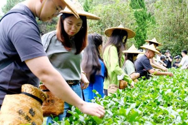 当音乐遇上茶，华祥苑如何在两岸文化融合中演绎别样精彩？