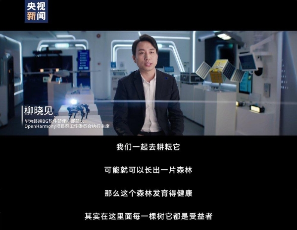  没有退路，就是胜利之路！2024，见证原生鸿蒙速度