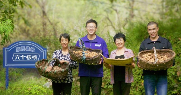 六个核桃践行可持续发展理念，共绘植物蛋白饮料绿色蓝图