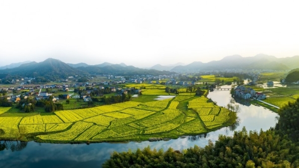 新华三集团荣登“金蜜蜂2024优秀企业可持续发展报告榜”