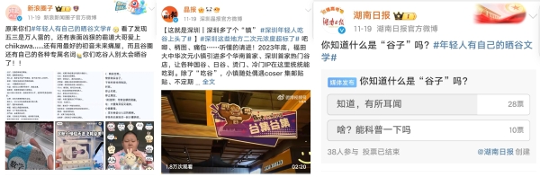 谷子火了？从小红书烧起来的二次元“烫门”