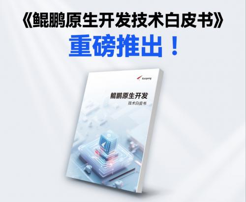 《鲲鹏原生开发技术白皮书》发布，携更多伙伴迈入原生开发新时代