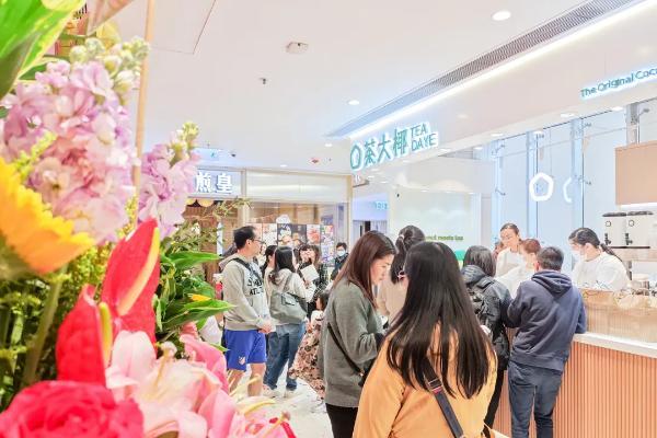 内地茶饮在港交手，椰子茶成“香港热”？