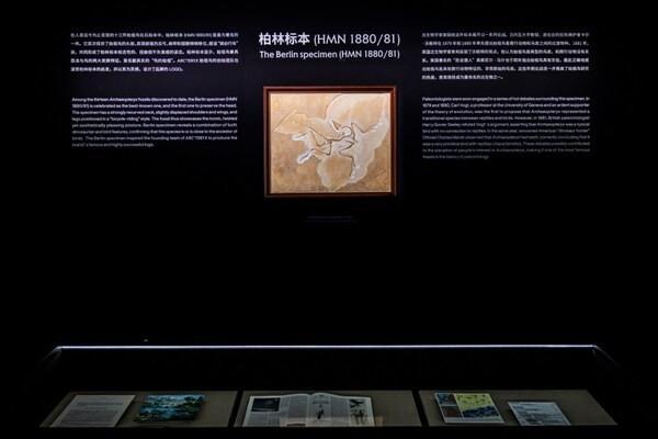  溯源｜始祖鸟进化之旅 上海始祖鸟博物馆揭幕全新展览 