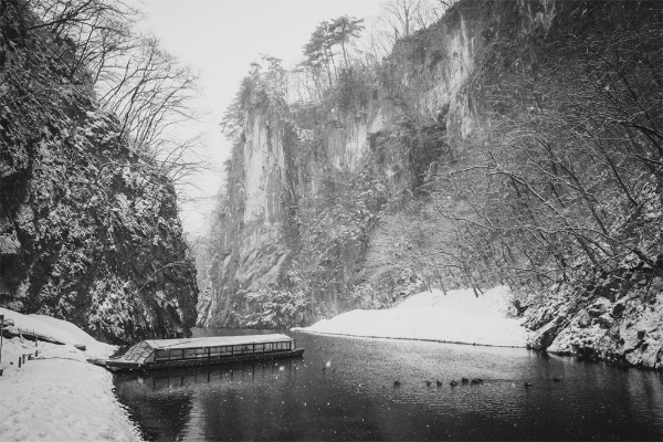 冬日东北之约：冰雪与艺术的奇幻之旅