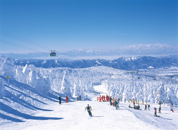 冬日东北之约：冰雪与艺术的奇幻之旅