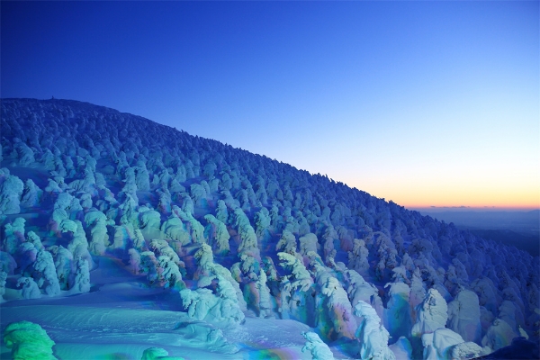 冬日东北之约：冰雪与艺术的奇幻之旅