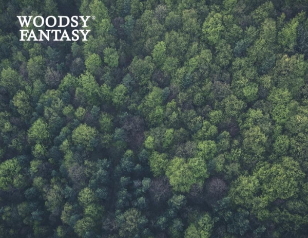 WOODSY FANTASY巫斯：天然纯净美味的超级食物品牌登场