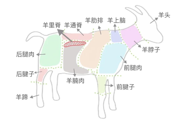  中国十大羊肉｜假如羊肉有段位，阿尔巴斯山羊肉一定是“天花板”