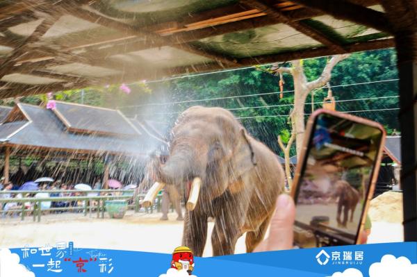 京瑞居荣获人民康养大会典型案例，引领新青年康养旅居新风尚