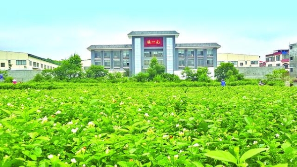  老店重装 龙毫迎新 双破三亿 续写传奇 为何茉莉花茶还是张一元的香