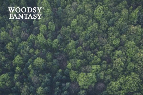 WOODSY FANTASY巫斯：天然纯净美味的超级食物品牌登场