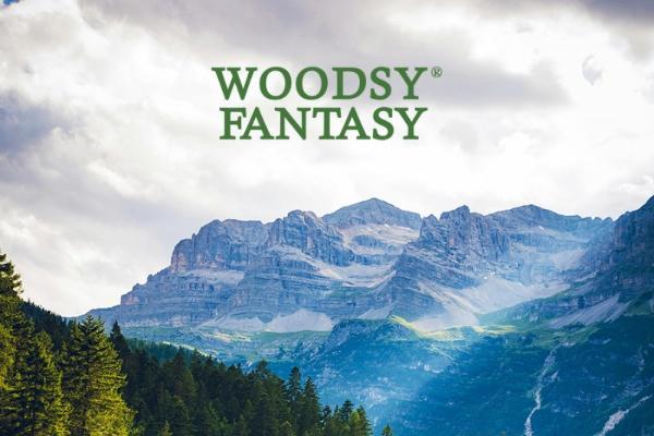 WOODSY FANTASY巫斯：天然纯净美味的超级食物品牌登场