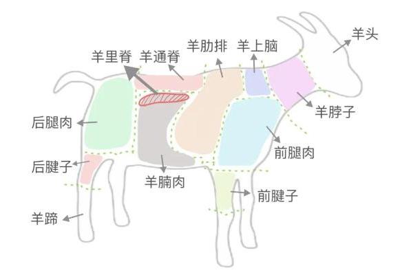  中国十大羊肉｜假如羊肉有段位，阿尔巴斯山羊肉一定是“天花板”