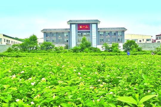  老店重装 龙毫迎新 双破三亿 续写传奇 为何茉莉花茶还是张一元的香