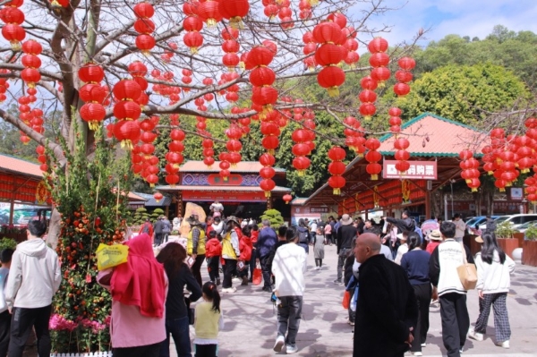 年味足、趣味多 十万余人相约东莞观音山欢乐过大年