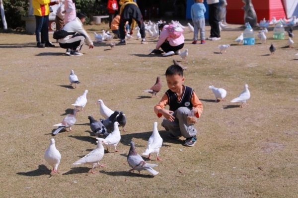 年味足、趣味多 十万余人相约东莞观音山欢乐过大年