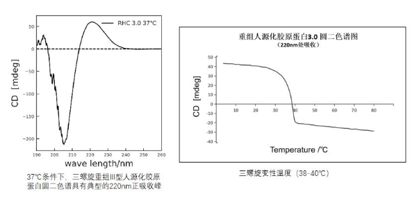 荣膺重组贻贝粘蛋白双认证 绽妍多维蛋白修护体系开启护肤新时代