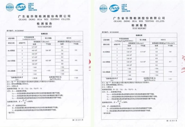  植此新绿，共赴未来，千年舟与你「烯」望同行