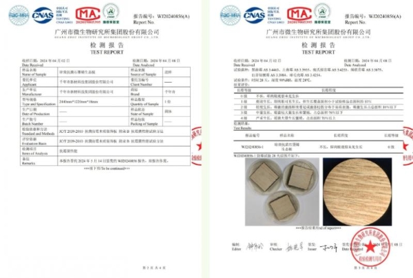  植此新绿，共赴未来，千年舟与你「烯」望同行