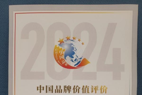 初心如磐，稳行致远——2025如新发展再启新篇