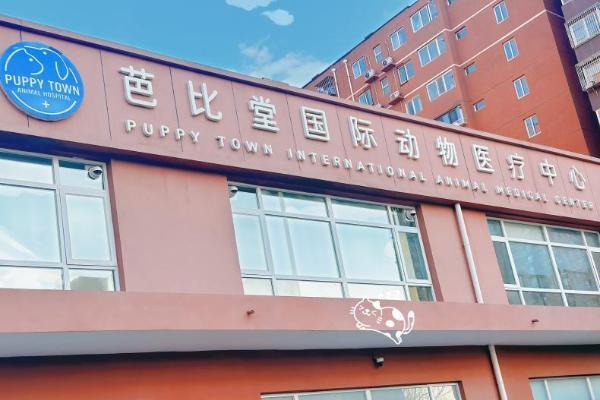 温馨守护，新瑞鹏集团旗下宠物医院用专业与爱心为生命护航