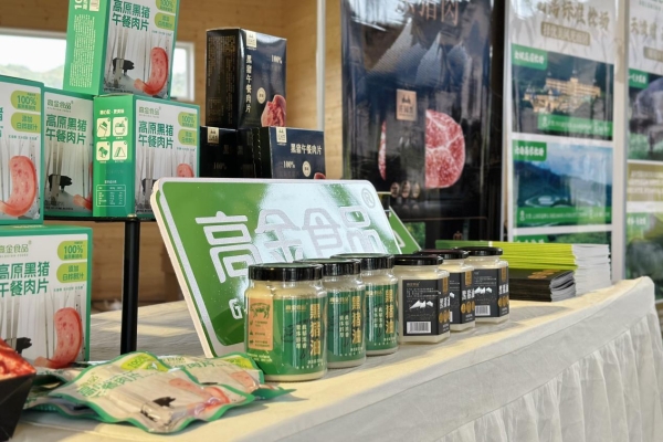  产业深耕与跨界合作并进，高金食品打造黑猪行业标杆样本