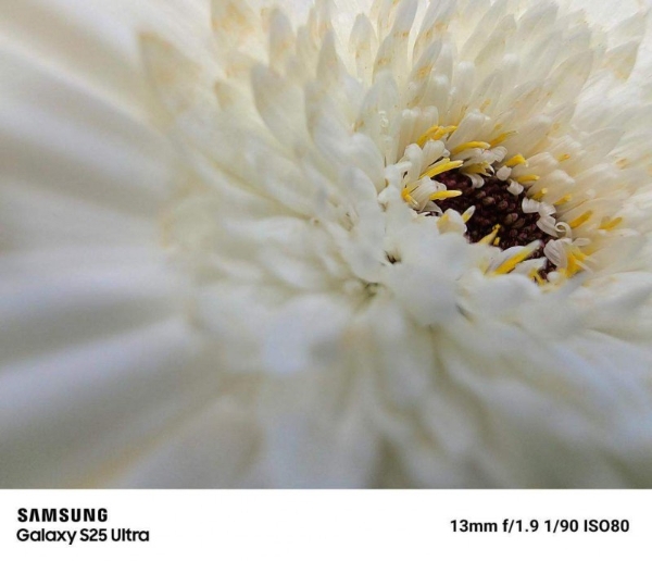 假日出行好拍档 三星Galaxy S25 Ultra行摄能力大赏