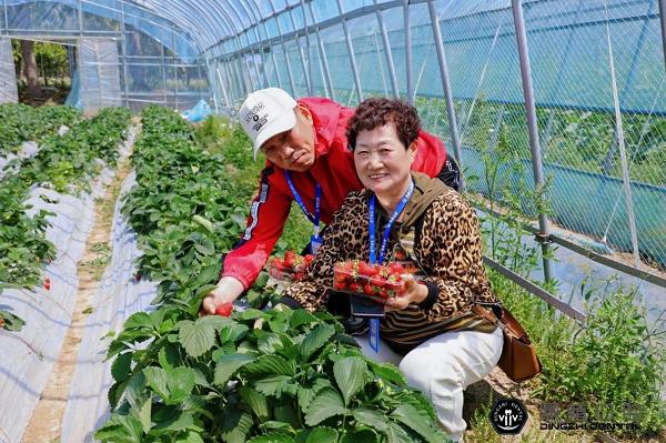 【唤醒春日 一起“趣”踏青】上海鼎植口腔春日拾趣之旅圆满落幕