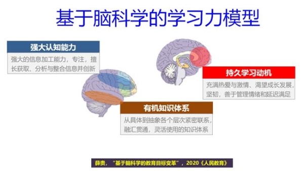 “脑科学+个性化”如何培养人才？黄埔中黄给出答案