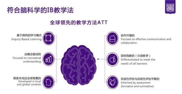 “脑科学+个性化”如何培养人才？黄埔中黄给出答案