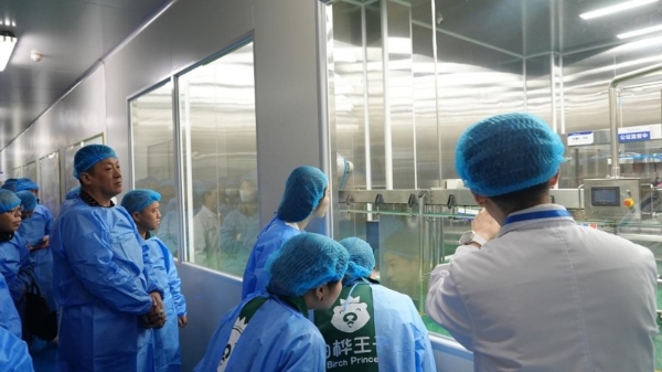 溯源启新程 聚势创未来 | 首届长白山白桦汁产业大会解码生态经济新范式 