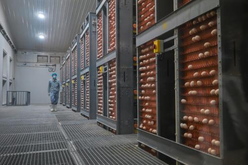 华润万家焕乡计划之百家基地建设，正大鲜鸡蛋养殖基地正式揭幕