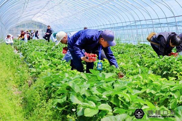 【唤醒春日 一起“趣”踏青】上海鼎植口腔春日拾趣之旅圆满落幕