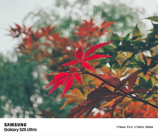 母亲节送她三星Galaxy S25系列：让智能更简单，让陪伴更贴心 