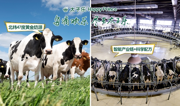 小满时节,太子乐挚恩以“一罐全能”守护宝宝夏日成长