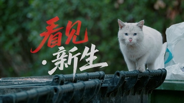 「看见·新生」，用爱与科技点亮毛孩子的未来