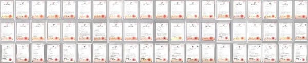  从“奢侈品”到“必需品” 王力安防如何引领智能门锁行业的全民普及时代？